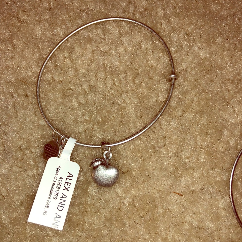 Alex and ani bracelet
